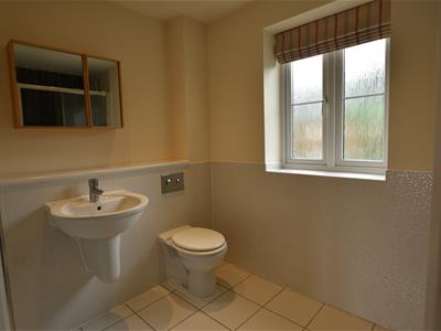 Picture 29